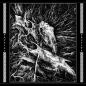 Preview: Blood Stronghold - The Triumph Of Wolfish Destiny LP marbled transparent/black