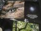 Preview: Nightgoat Invokate The Stars - Ynitsed Suoluben LP
