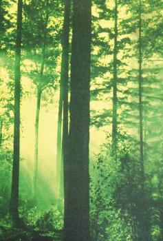 Thy Serpent - Forests of Witchery MC