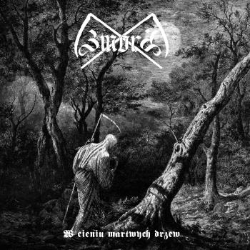 Zmora - W cieniu martwych drzew CD