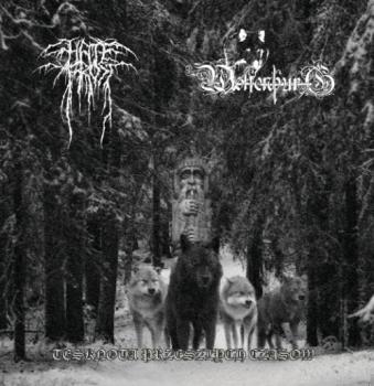 Hatefrost / Wolfenburg - Tesknota Przeszlych Czasow CD
