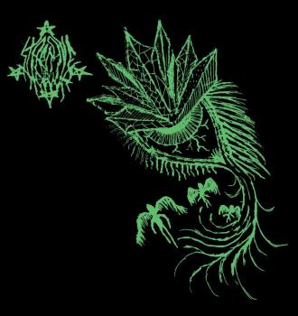 Preview: Starcave Nebula / Trhä - Split LP