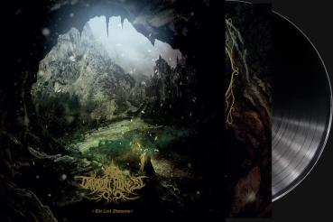 Druadan Forest - The Lost Dimension LP black wax