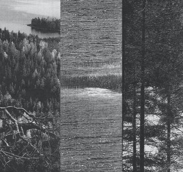 Elemental - s/t LP Pre-order