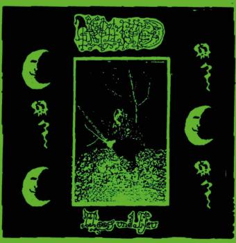 Grollfried - Moos und Efeu CD