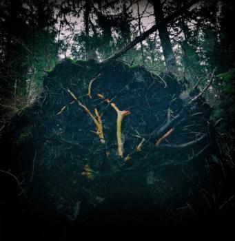 Aukels - Raynkaym LP