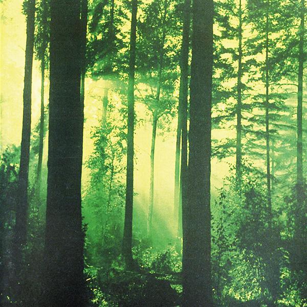 Thy Serpent - Forests of Witchery LP Green / Grey Marble Vinyl Lim. 100