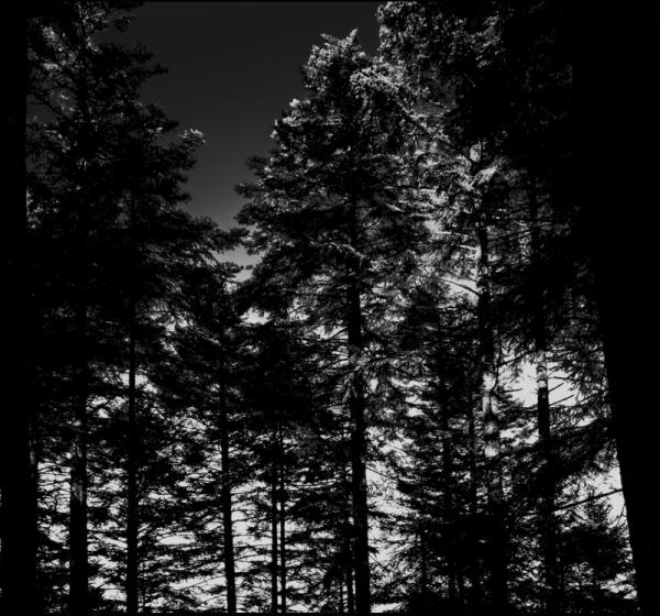 Sacrificia Mortuorum - En Offrande CD