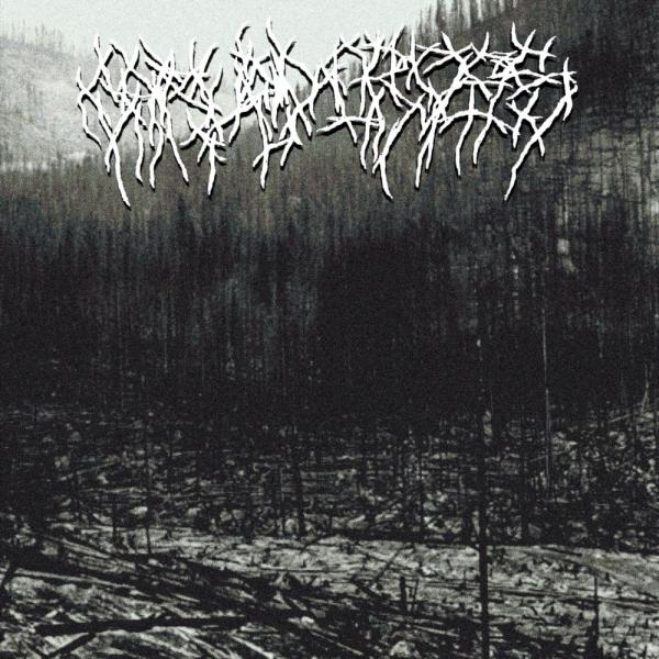 Carved Cross - Untitled Digipak CD