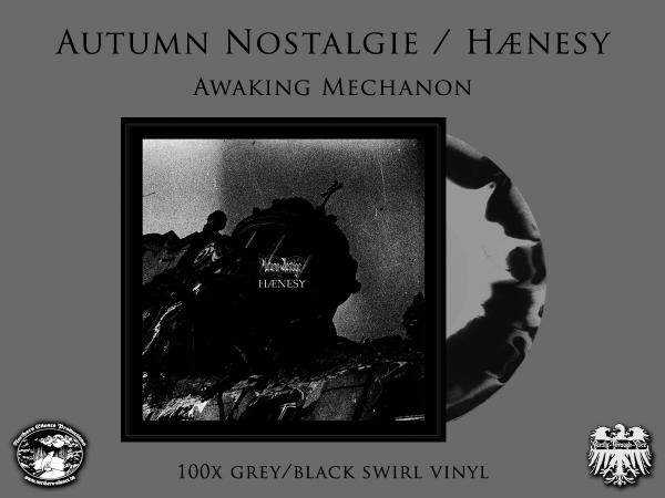 Autumn Nostalgie / Haenesy - Awaking Mechanon LP grey/black swirl LP lim. 100