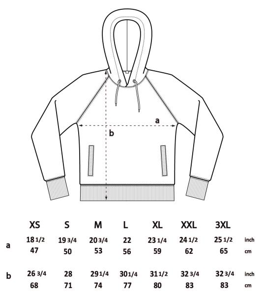 Mavorim - Non Omnis Moriar Hooded Sweater