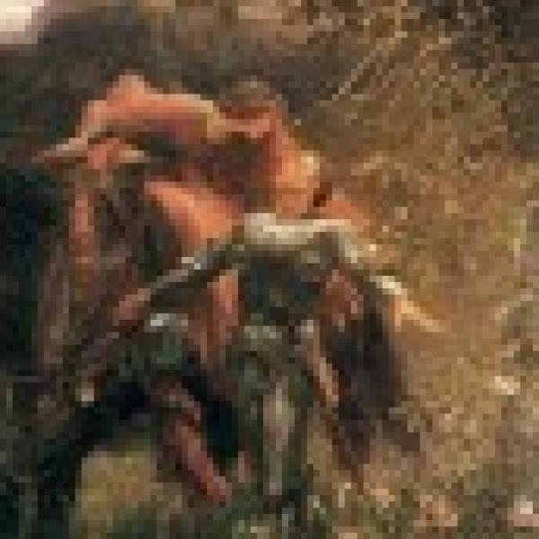 Adorn - Grace Digipak MCD