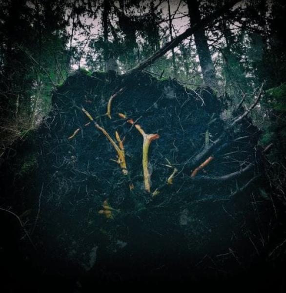 Aukels - Raynkaym CD