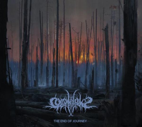 Colotyphus - The End Of Journey CD